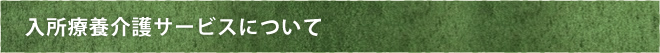 入所療養介護サービスについて