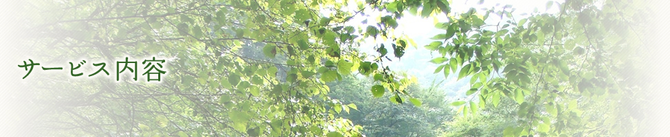サービス内容